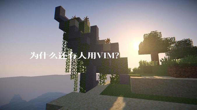 为什么还有人用VIM？